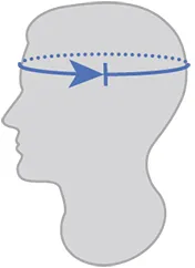 En schematisk illustrasjon av en mannlig hode med en blå pil-linje som viser måling av hodetomkrets.
